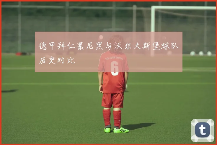 德甲拜仁慕尼黑与沃尔夫斯堡球队历史对比