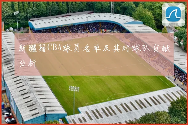 新疆籍CBA球员名单及其对球队贡献分析